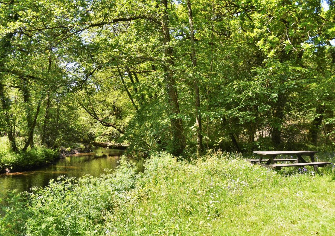 River Lodge - Cornwall Cardinham Kültér fotó